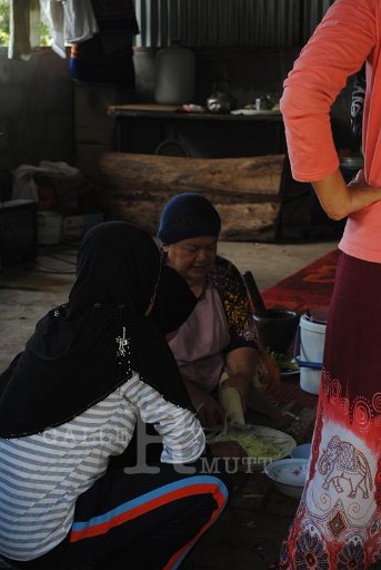DSC_0348 - Copy.JPG